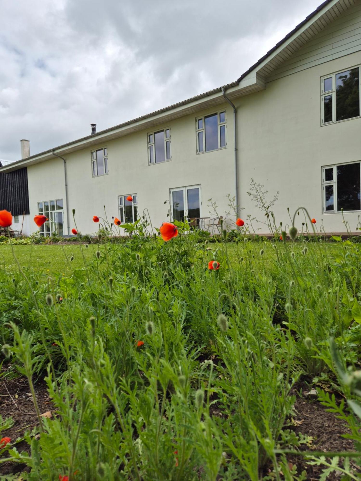Mols Bed & Breakfast Knebel Екстериор снимка