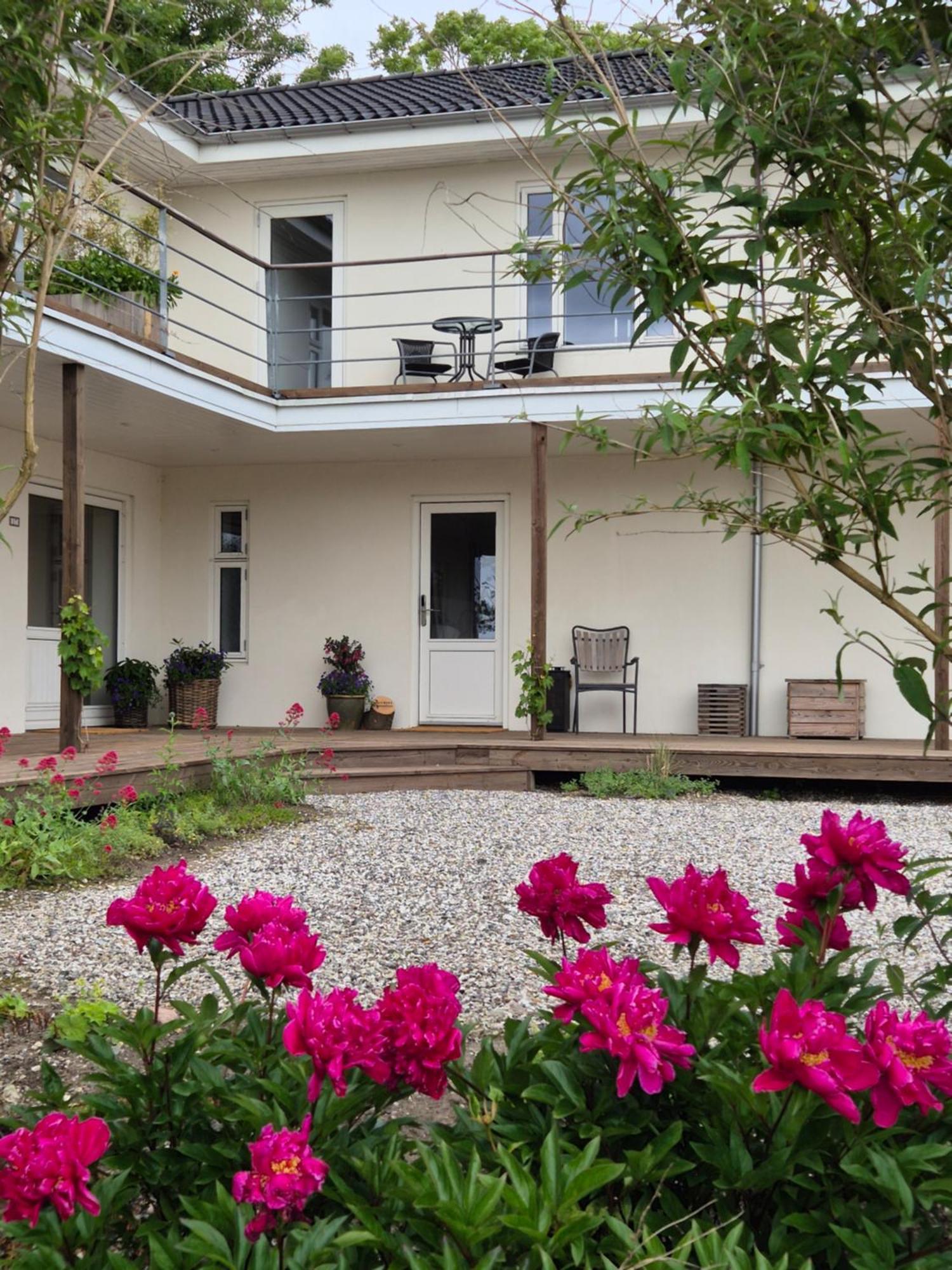 Mols Bed & Breakfast Knebel Екстериор снимка