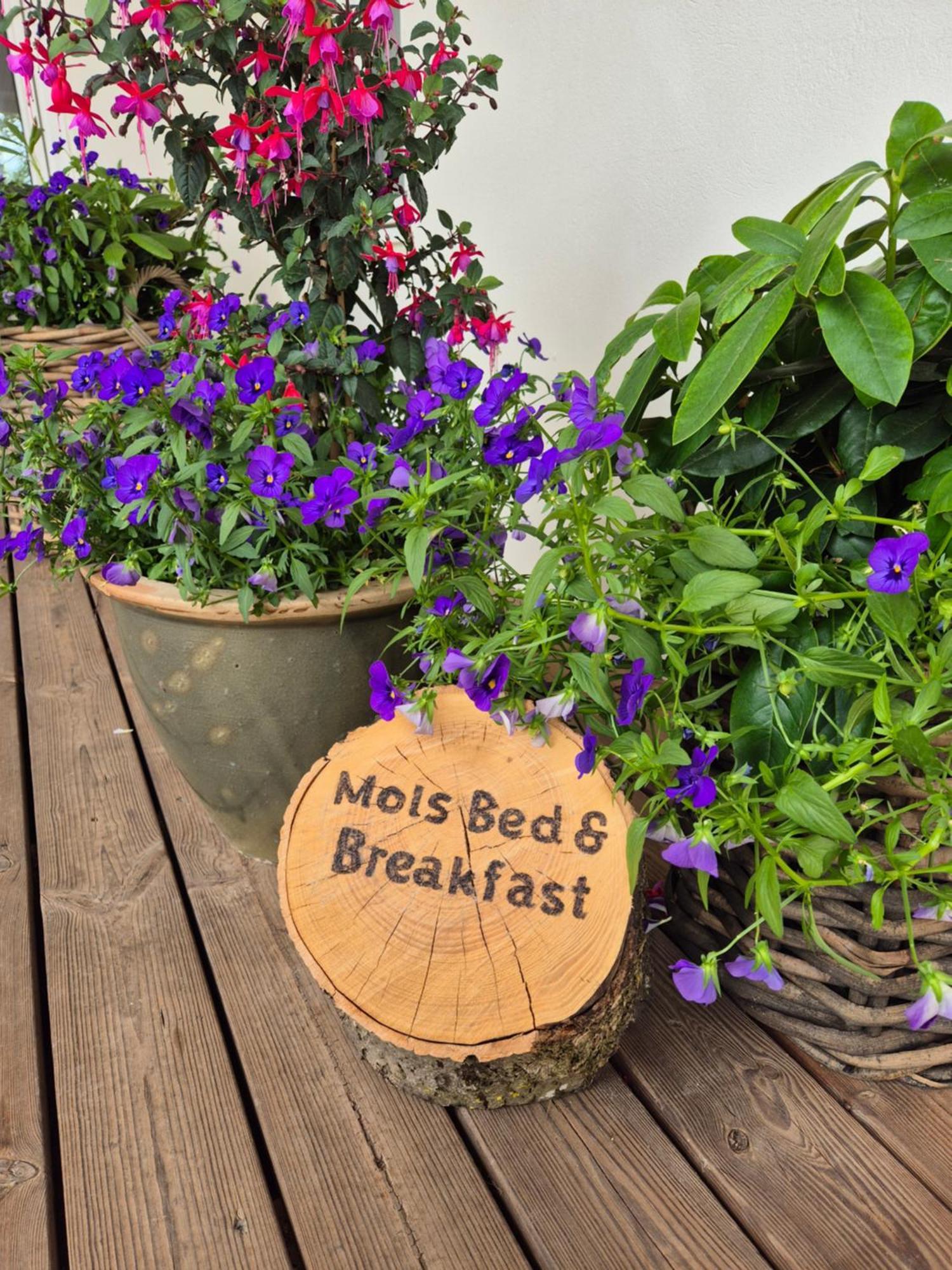 Mols Bed & Breakfast Knebel Екстериор снимка